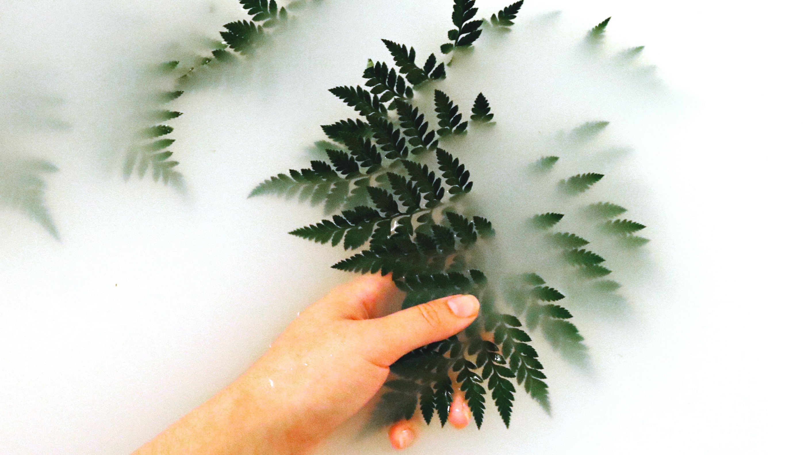 Photo by Madison Inouye from Pexels b